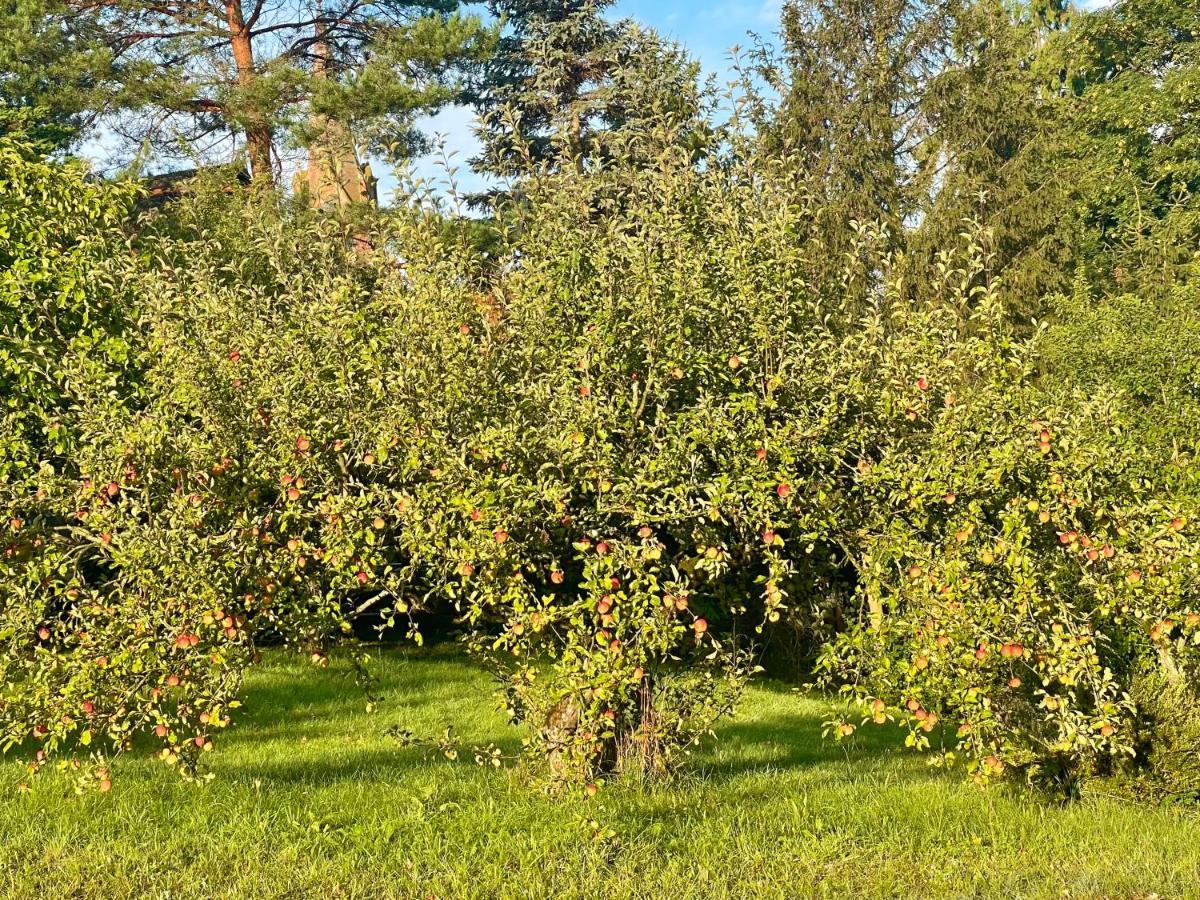 Villa Apple Tree House Lubin  Esterno foto